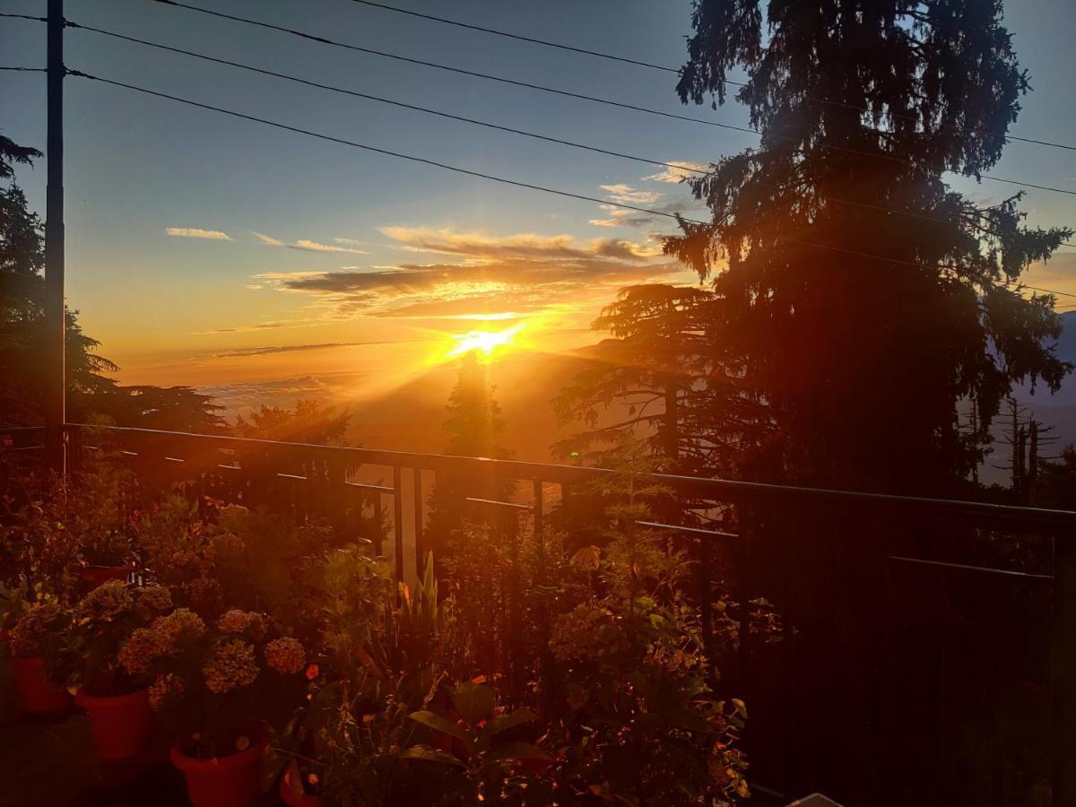 Smarthill Kalatop-Nature'S Heaven Otel Dalhousie Dış mekan fotoğraf