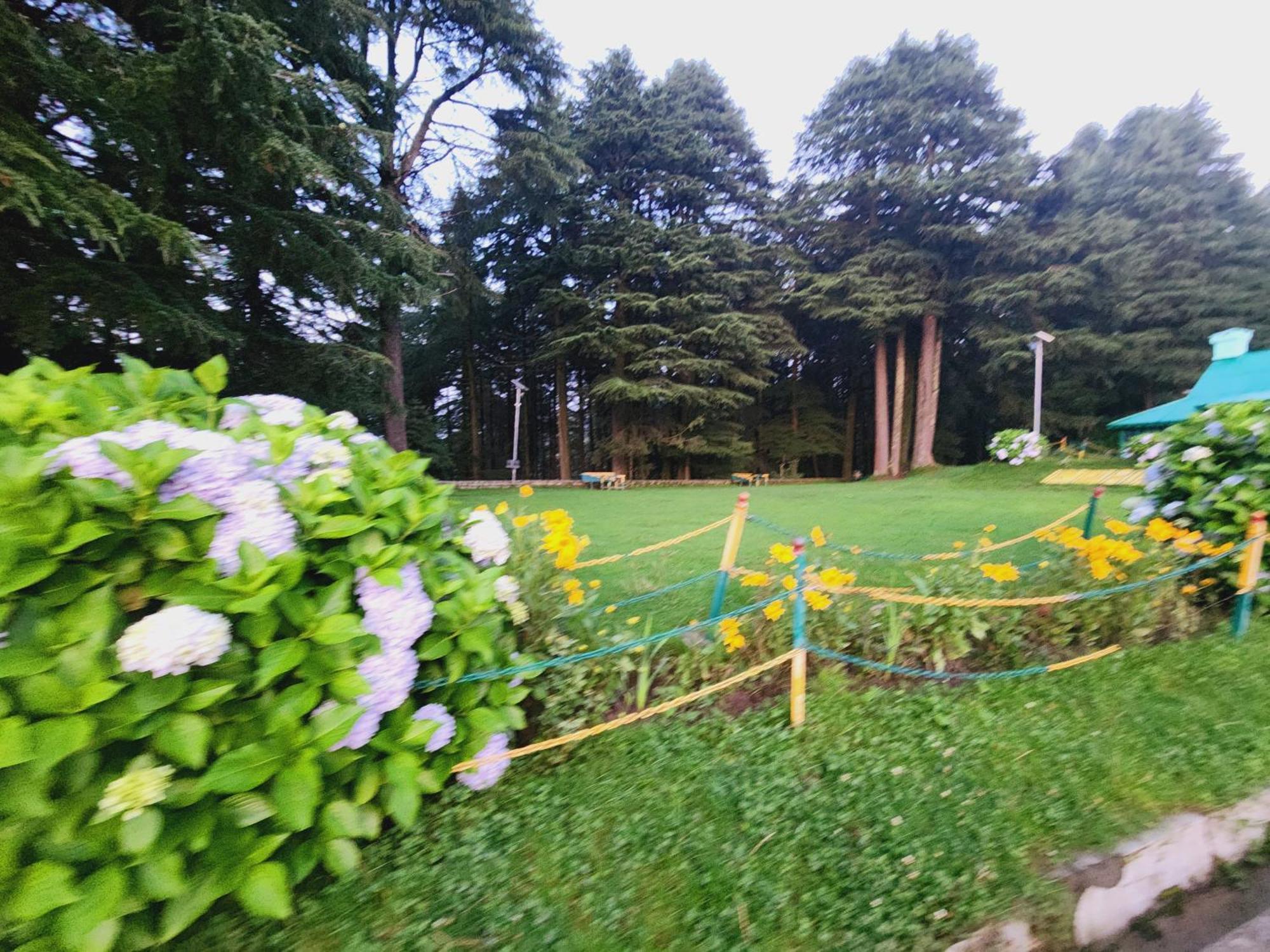 Smarthill Kalatop-Nature'S Heaven Otel Dalhousie Dış mekan fotoğraf