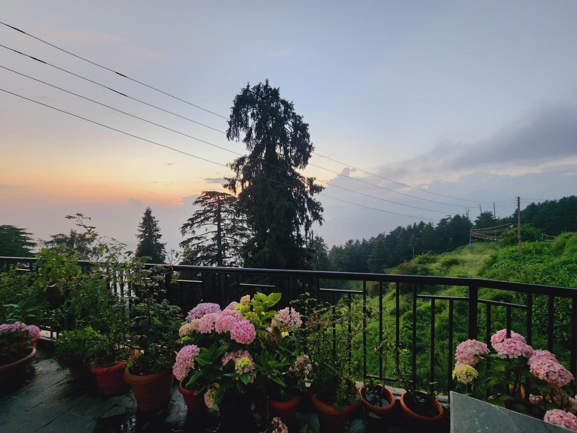 Smarthill Kalatop-Nature'S Heaven Otel Dalhousie Dış mekan fotoğraf