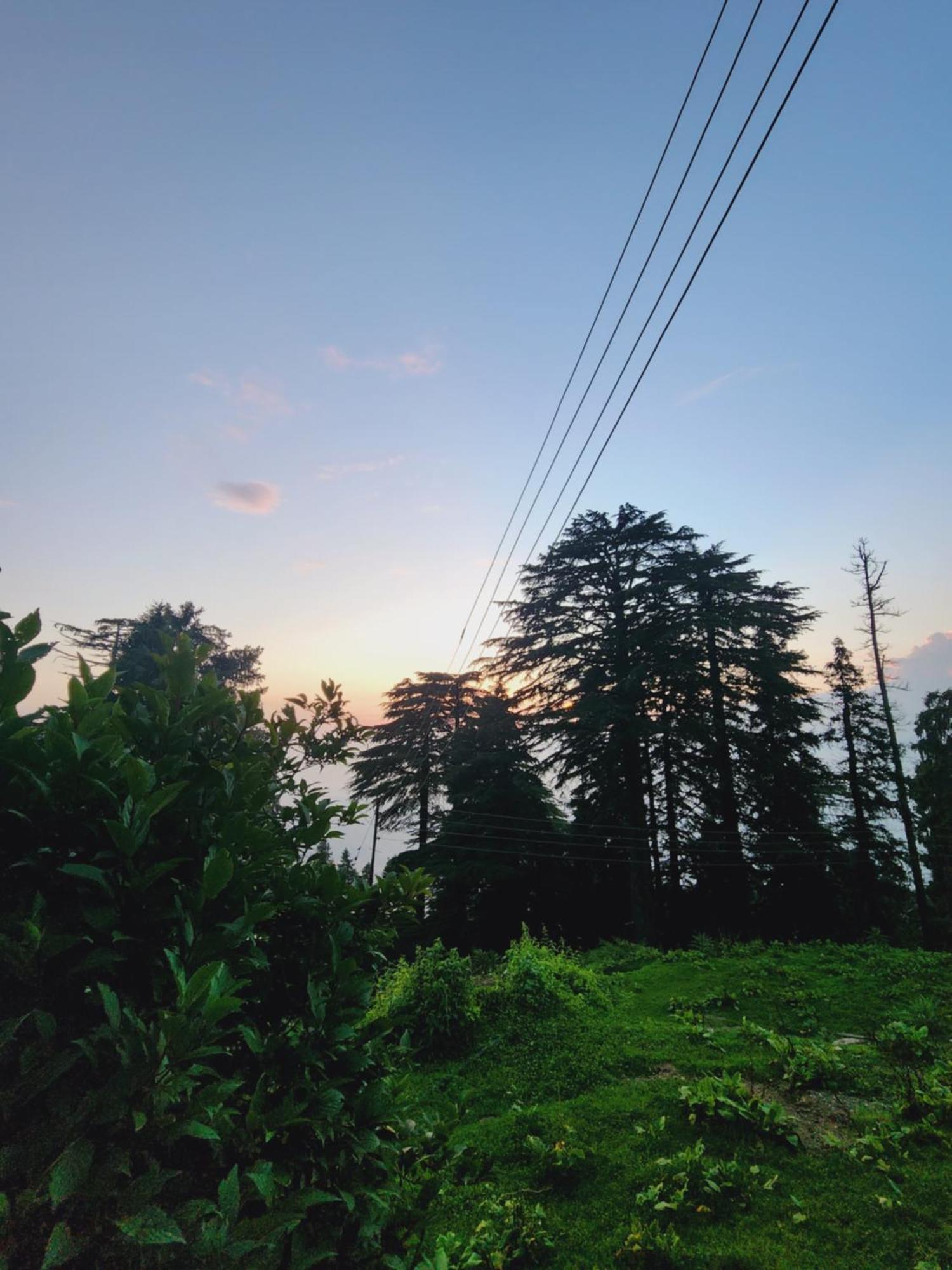 Smarthill Kalatop-Nature'S Heaven Otel Dalhousie Dış mekan fotoğraf