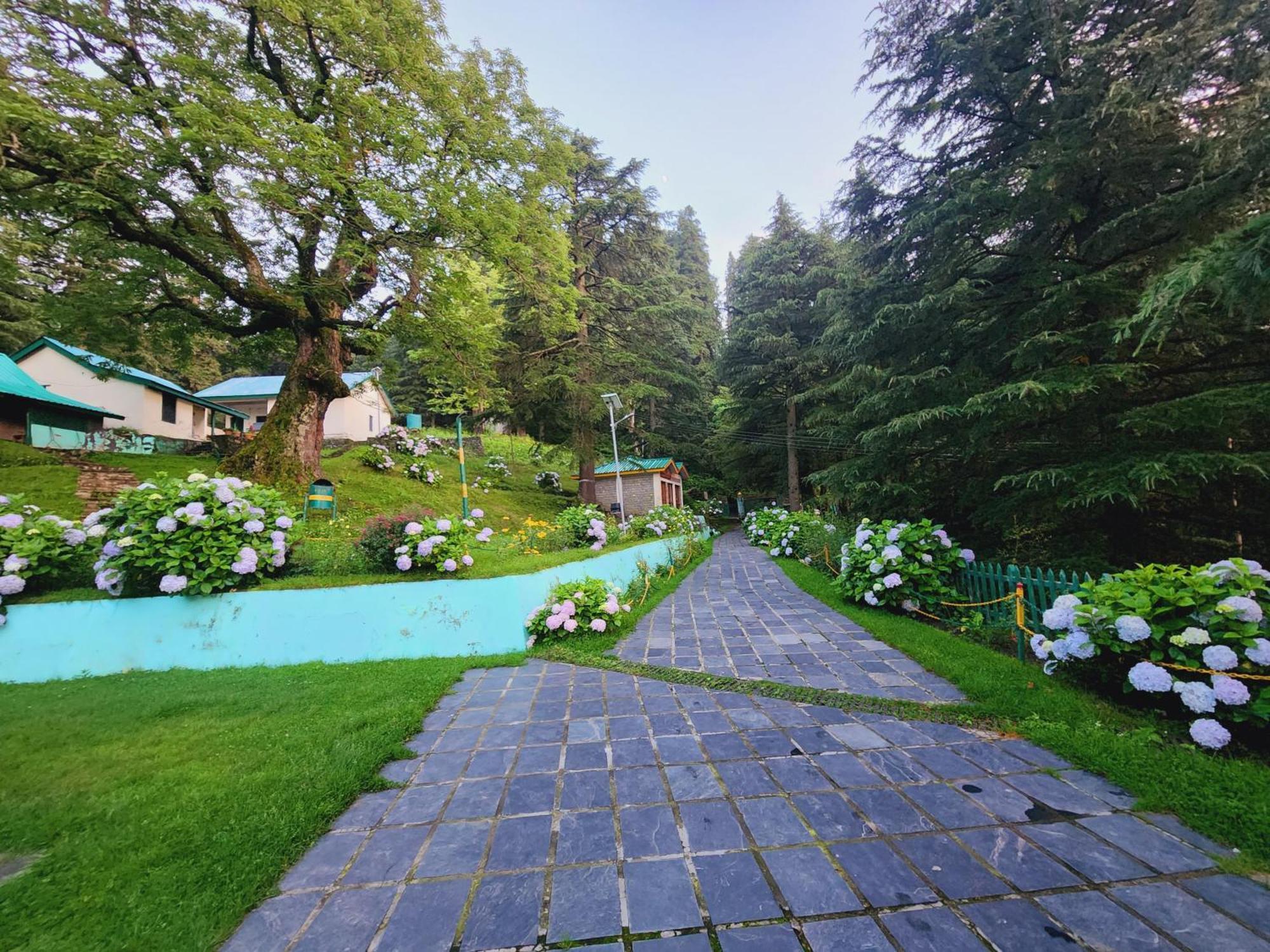 Smarthill Kalatop-Nature'S Heaven Otel Dalhousie Dış mekan fotoğraf