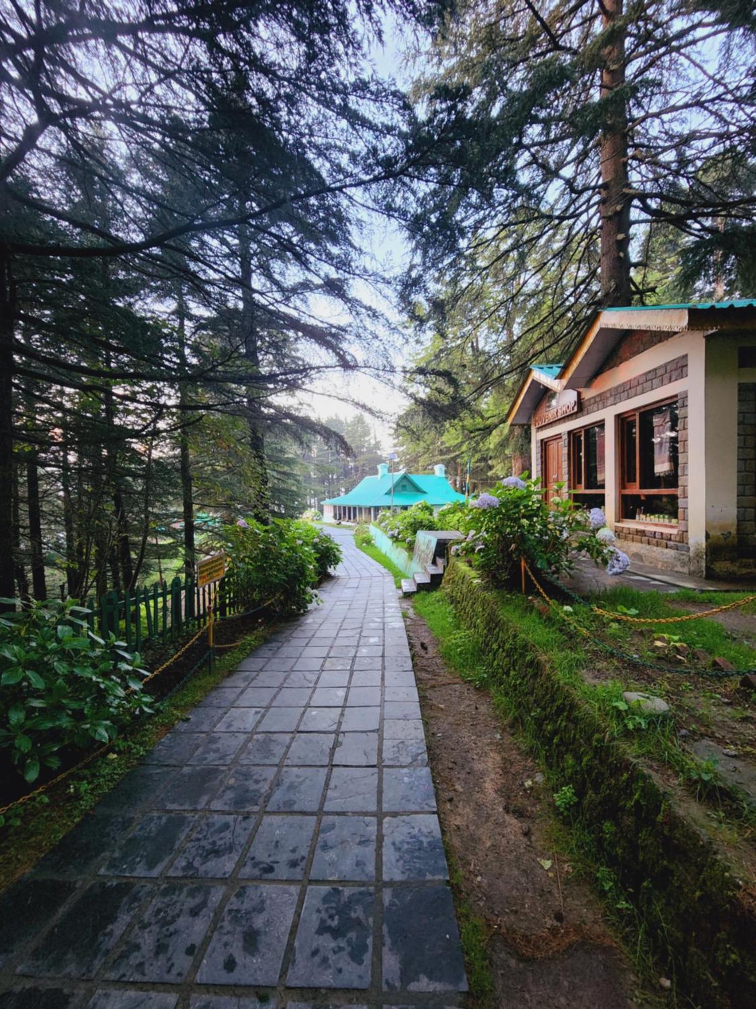 Smarthill Kalatop-Nature'S Heaven Otel Dalhousie Dış mekan fotoğraf