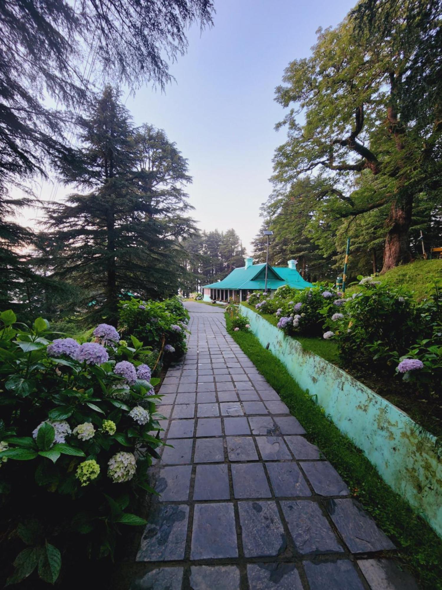 Smarthill Kalatop-Nature'S Heaven Otel Dalhousie Dış mekan fotoğraf