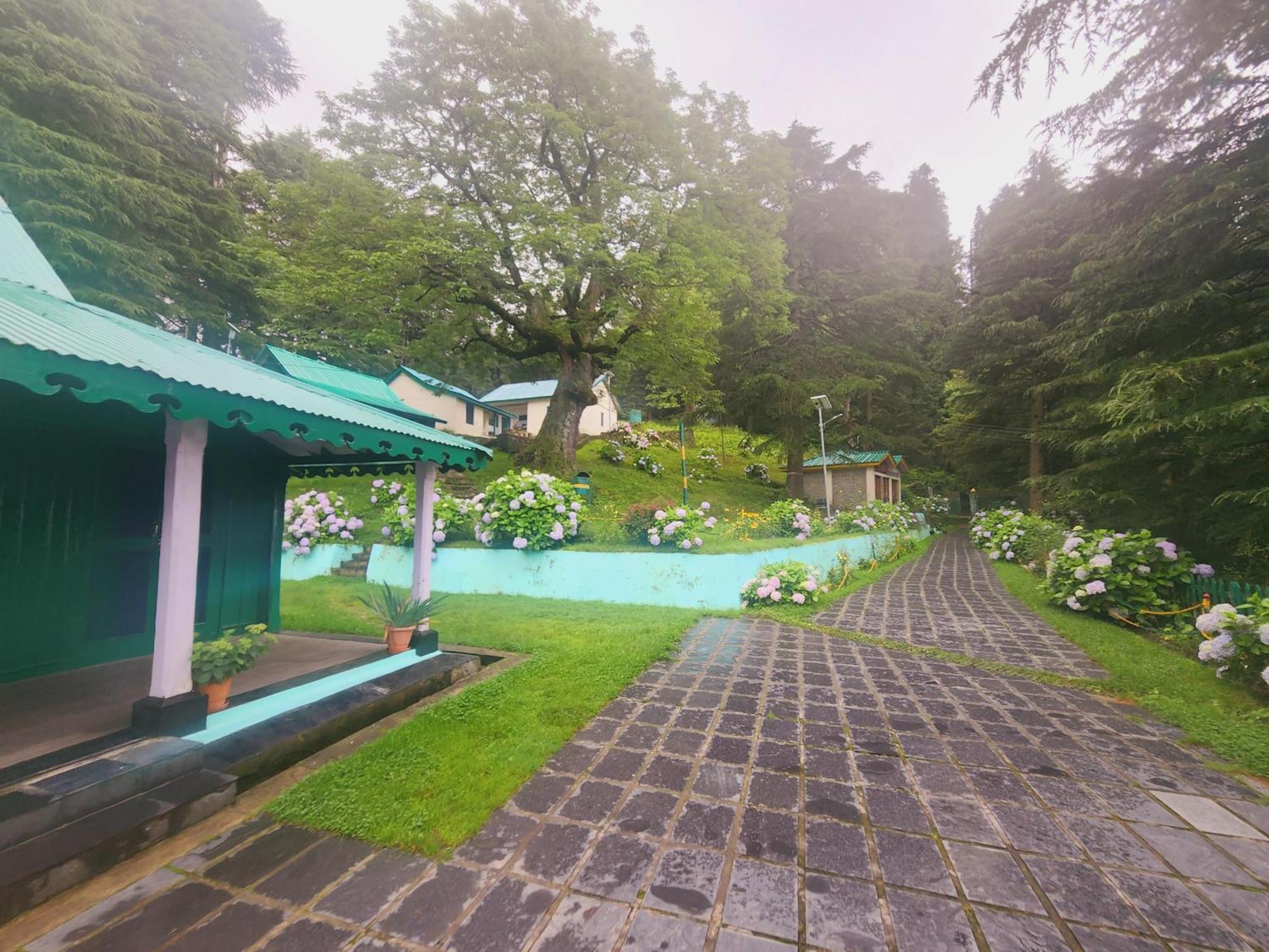 Smarthill Kalatop-Nature'S Heaven Otel Dalhousie Dış mekan fotoğraf