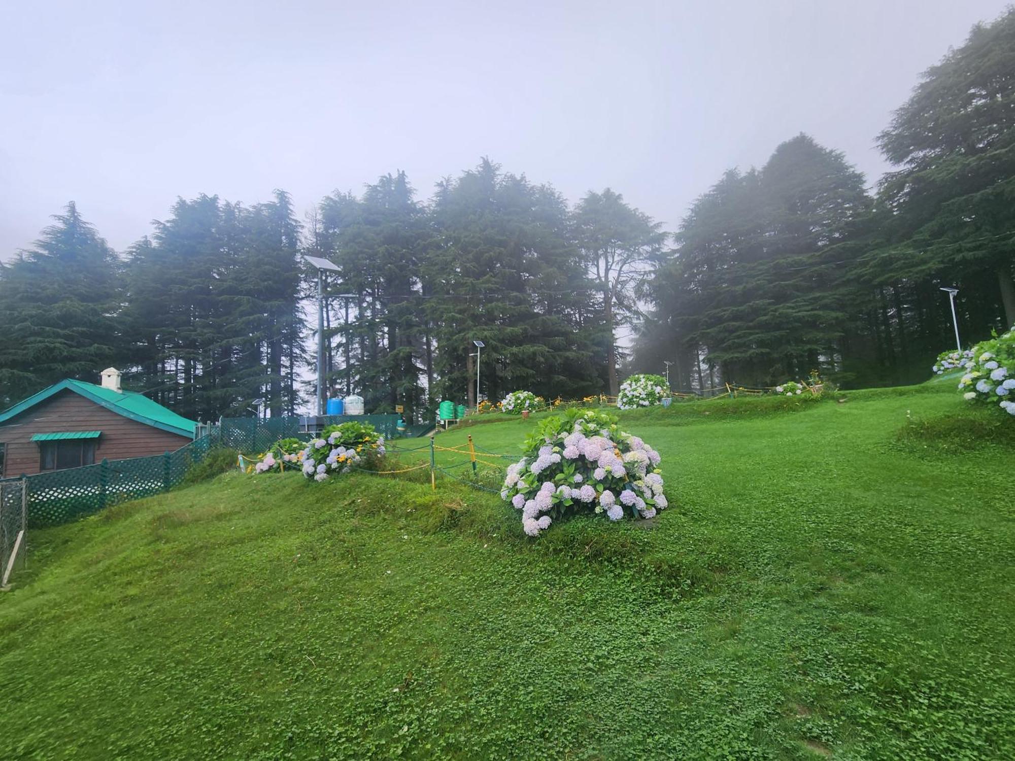 Smarthill Kalatop-Nature'S Heaven Otel Dalhousie Dış mekan fotoğraf