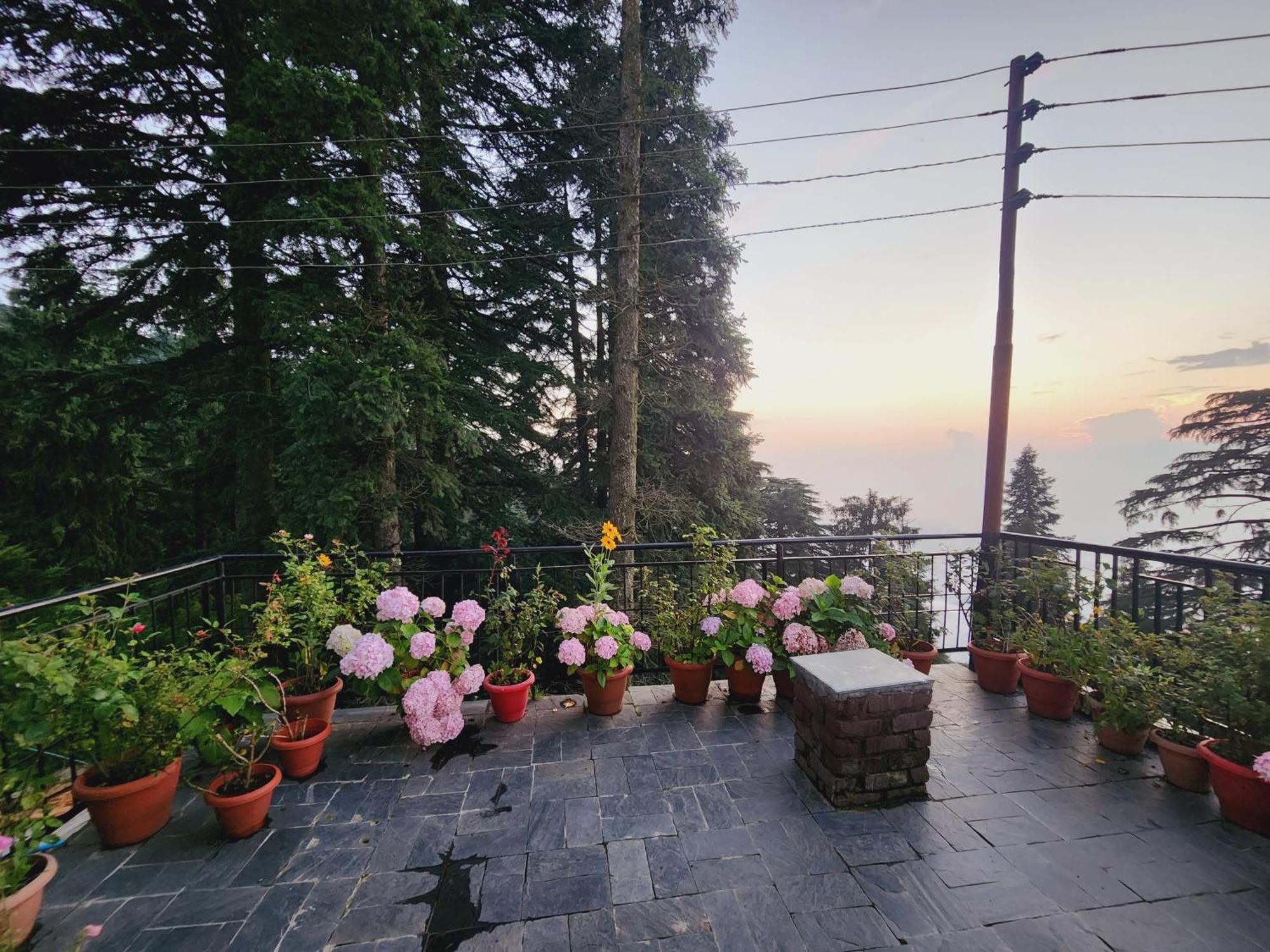 Smarthill Kalatop-Nature'S Heaven Otel Dalhousie Dış mekan fotoğraf