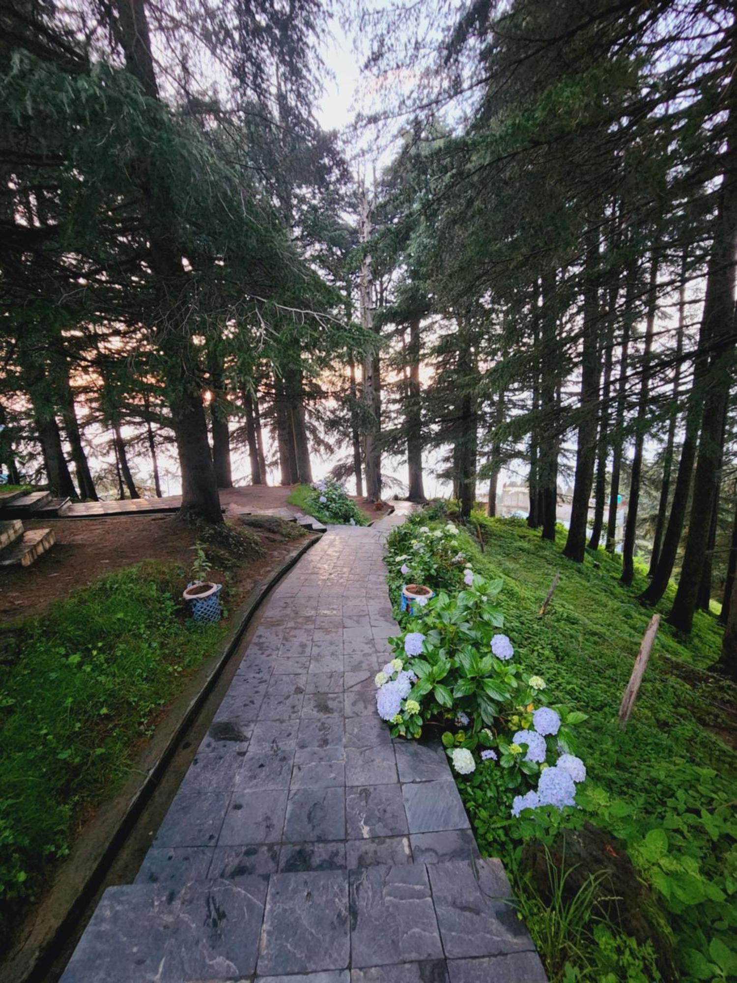 Smarthill Kalatop-Nature'S Heaven Otel Dalhousie Dış mekan fotoğraf