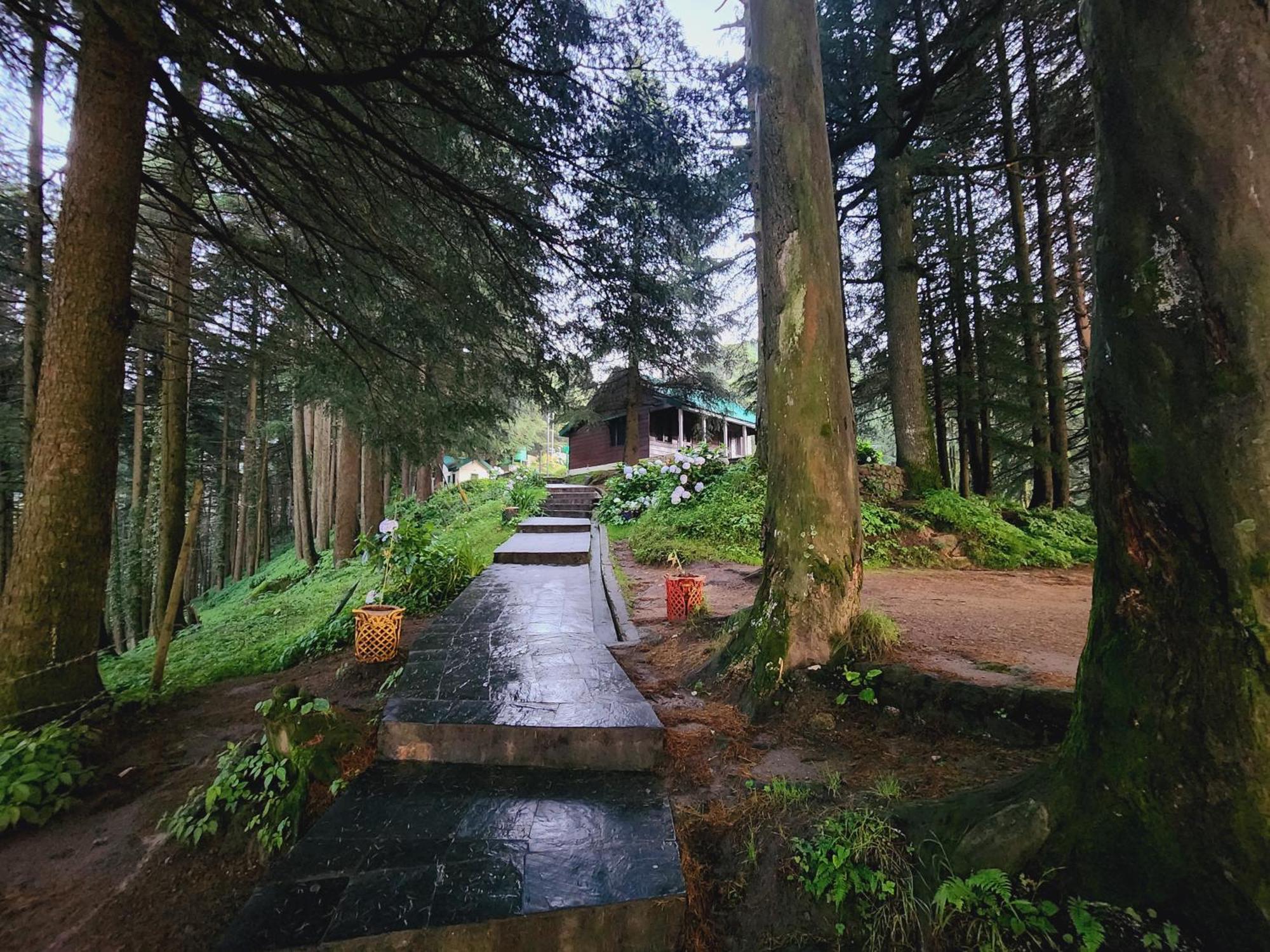 Smarthill Kalatop-Nature'S Heaven Otel Dalhousie Dış mekan fotoğraf
