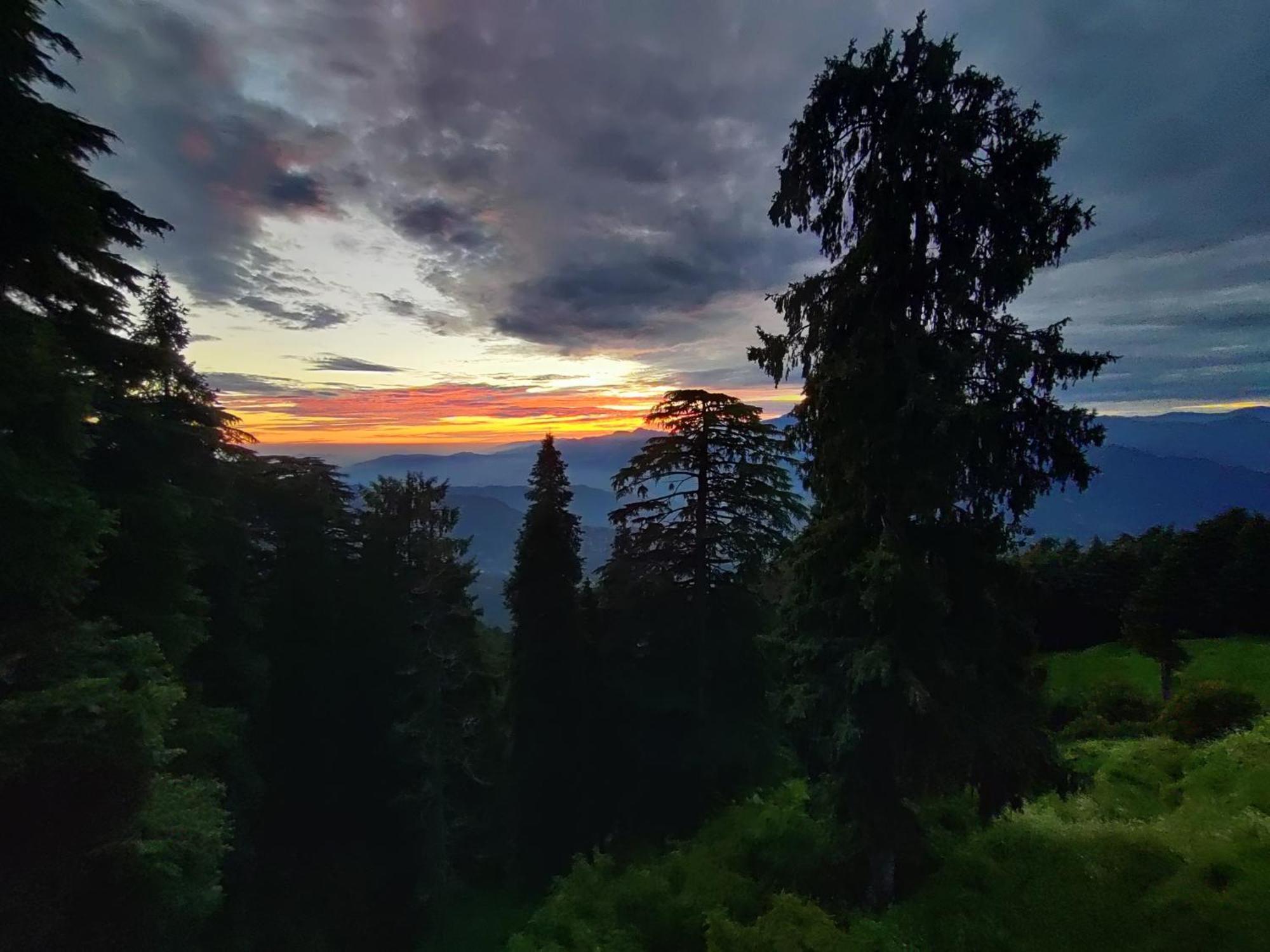 Smarthill Kalatop-Nature'S Heaven Otel Dalhousie Oda fotoğraf